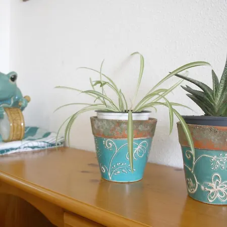 Synergie Si06 - Sol Apartment