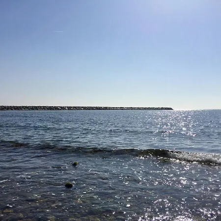 Synergie Si06 - Sol * Cambrils
